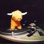 The Taylors are Not in London