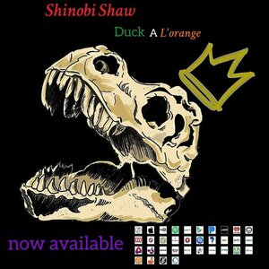 Shinobi Shaw