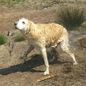 None of your Business