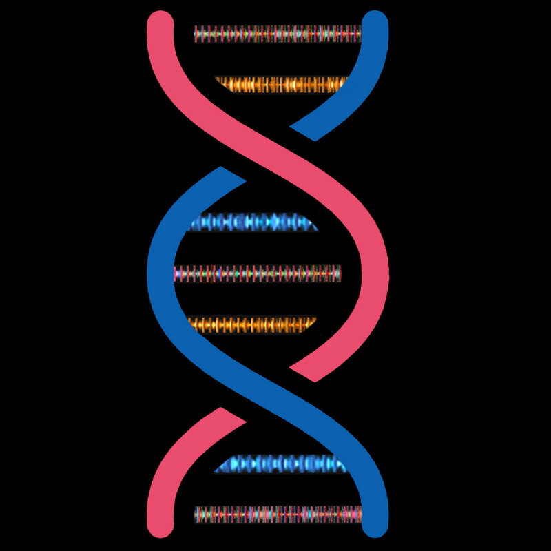 the-double-helix