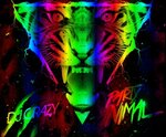 DJCrazyPartyAnimal