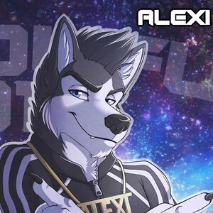 Alexi Husky